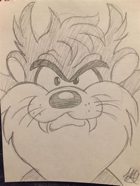 Taz Looney Tunes Drawing