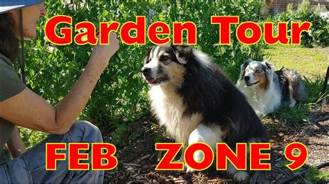 Garden Tour Zone 9 February 2023 YouTube