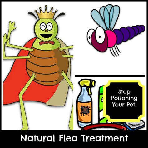 Natural Home Flea Treatment For Dogs - Paws Right Here