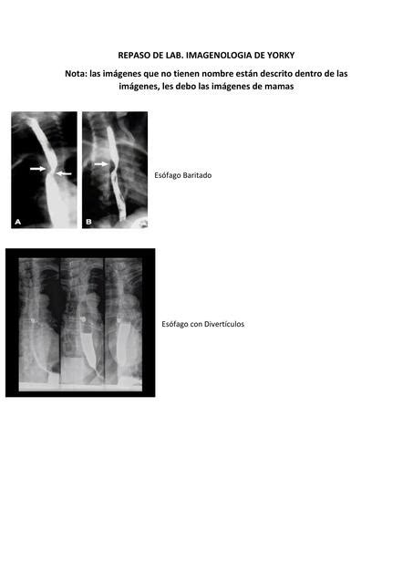 Repaso Iab Imagenologia Yorkis Linet Scarlet Guzman UDocz