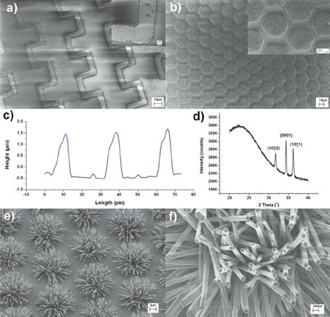 Sem Images Of Zno Patterns Formed By Area Selective Electroless