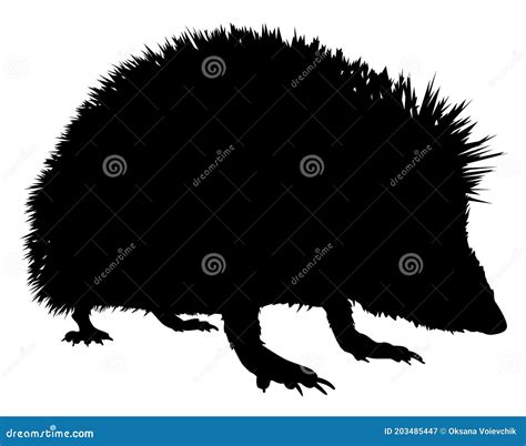 Silhouette of a Hedgehog Vector Stock Vector - Illustration of isolated ...