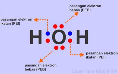 Pasangan Elektron Bebas Adalah Homecare24