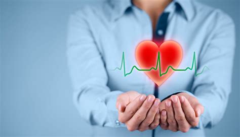 Cuore Anatomia Dell Organo E Consigli Per Mantenerlo Sano