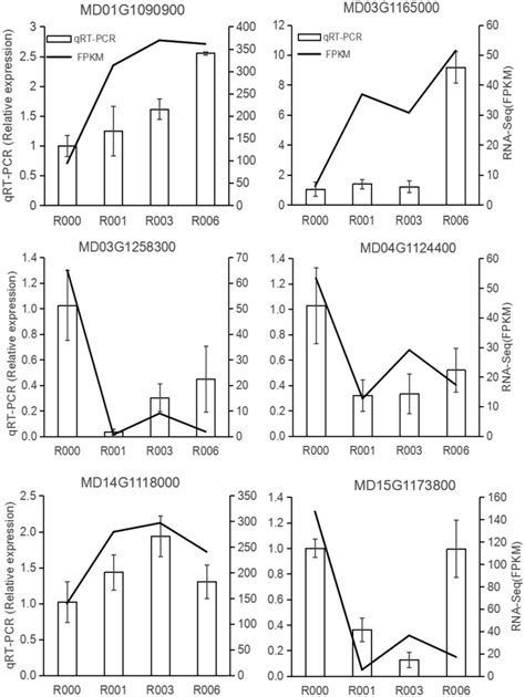 Quantitative Real Time Pcr Qrt Pcr To Validate The Expression Levels