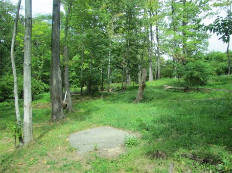 Bronx Zoo 2010 - Part of Amur Tiger exhibit in Tiger Mountain - ZooChat