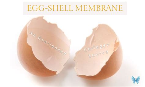 Egg membrane feature image (1) 2 eggs - The Whole Transformation The ...