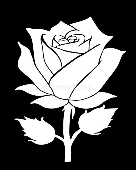 Rose Black White Rose Black White Graphic Drawing Stock Illustrations 25490 Rose Black White