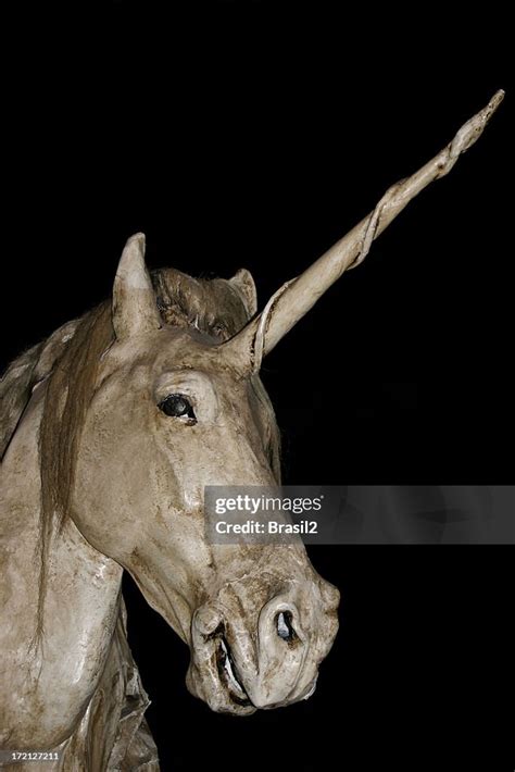 Unicorn Legend High Res Stock Photo Getty Images