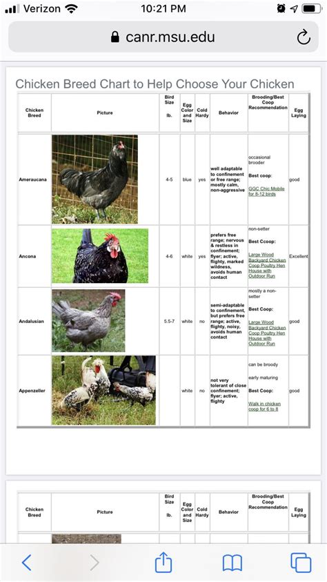 Chicken breed chart