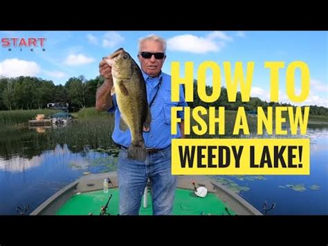 How To Fish A New Weedy Lake YouTube