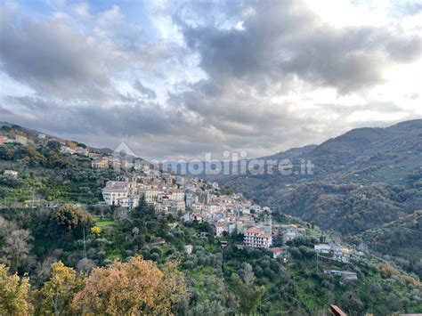 Vendita Appartamento In Contrada San Carlo Sant Angelo Di Brolo Da