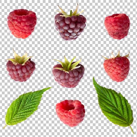 Premium Psd Fresh Raspberry Isolated On Transparent Background