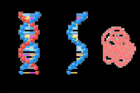 DNA Directed Synthesis Of RNA Illustration - Free Download ...