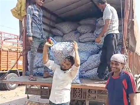 Jalgaon News Irani And Chinese Garlic In Market Farmer Are Agressive