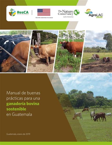 Manual De Buenas Practicas Ganaderas PDF