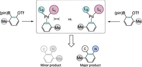 Ligand Induced Regioselectivity In Metal Catalyzed Aryne Reactions