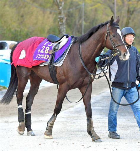 【マイラーズc】ダノンプレミアム万全 久々のマイル戦も猿橋助手「ベスト」競馬・レースデイリースポーツ Online