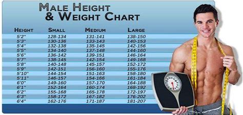 The Ideal Weight Chart For Men Based On Their Height Thatviralfeed