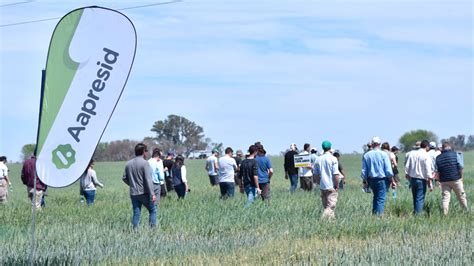 “el Lado C Del Agro” Siembra Directa Captura De Carbono Y Desafíos De La Agricultura Para Los