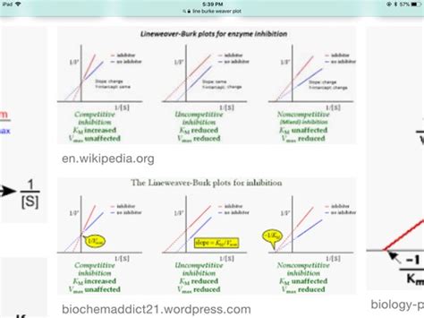 AAMC Bio Flashcards Quizlet