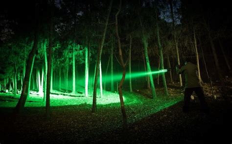 {The 6} Best Green Lights for Hog Hunting [January Tested]