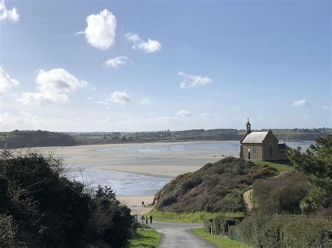 En Bretagne un sanglier retrouvé mort sur une plage polluée par les