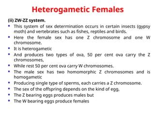 Sex Determination Mechanism And Its Types Ppt
