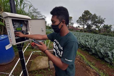 Potret Sukses Petani Muda Kombinasi Ide Dan Teknologi Jadi Kunci