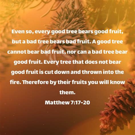 Matthew 7 17 20 Even So Every Good Tree Bears Good Fruit But A Bad