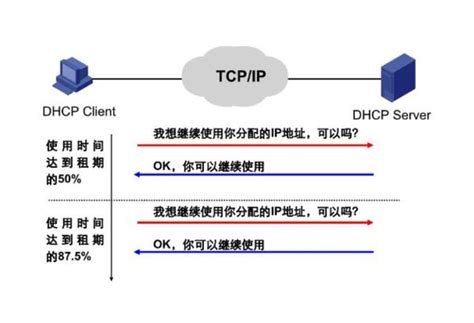 一文读懂什么是dhcp以及dhcp的功能特点（国科云） 知乎