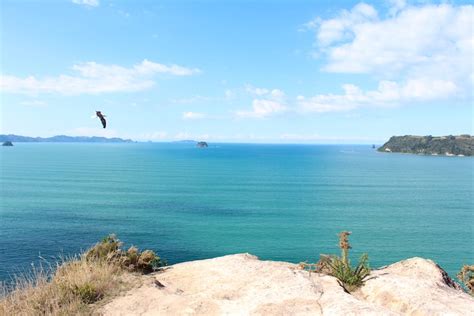 17 of the Best Coromandel Beaches - Ultimate Summer Guide