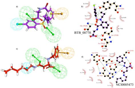 Pharmacophore Mapping And Molecular Interaction Ligplot Of The