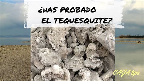 Conoces El Tequesquite YouTube