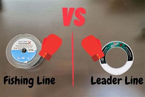 Fishing Line Vs Leader Line: What Is The Difference? - Begin To Fish