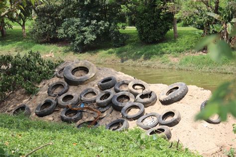 For A Tarefa Retira Mais De Mil Pneus Do Rio Sorocaba Durante Obra