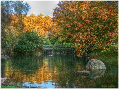 El Lago Parque De Castrelos Vigo De Noviembre De H Flickr