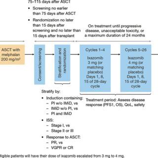 Design Of The Phase 3 Study Of Ixazomib Maintenance Following Induction