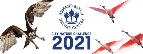 2021 City Nature Challenge: Armand Bayou Nature Center · iNaturalist Canada