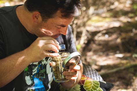 Mastering the Aus Ehub Login Experience for Better Results 6