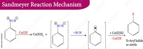 Sandmeyer Reaction Mechanism , vector illustration Stock Vector | Adobe ...