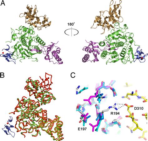 Molecular Basis For LDL Receptor Recognition By PCSK9 PNAS