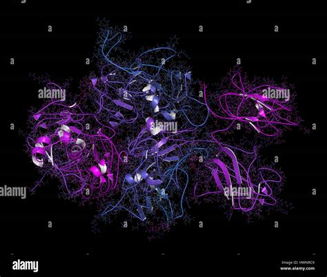 Factor Viii Blood Clotting Hi Res Stock Photography And Images Alamy