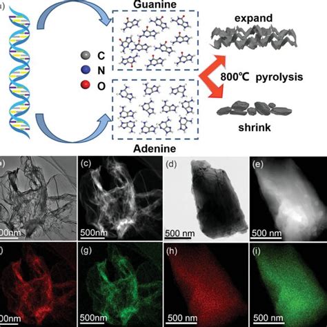 Electrochemical Performance Of Symmetric Cells With Na NCSs Na NCPs