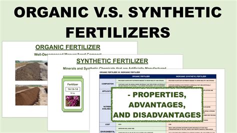 Organic Vs Synthetic Inorganic Fertilizers Properties Advantages