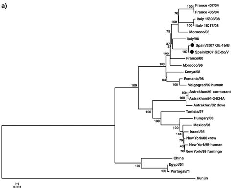 Phylogenetic Tree Based On Complete Genomes Of West Nile Virus Download Scientific Diagram