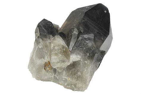 3 5 Dark Smoky Quartz Crystal Brazil 234059 For Sale FossilEra