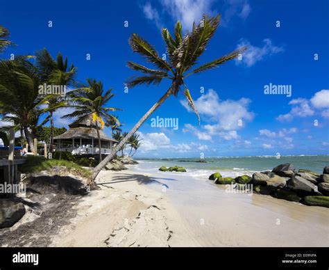 Caribbean Saint Lucia Beach At Vieux Fort Stock Photo Alamy