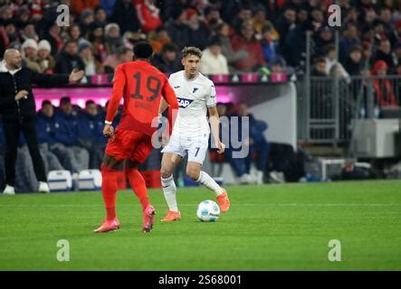 Tom Bischof Tsg Hoffenheim Rsc Anderlecht Vs Tsg