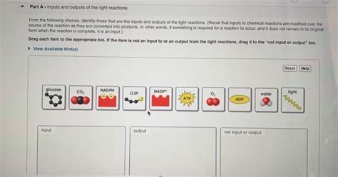 FREE Part A Inputs And Outputs Of The Light Reactions From The